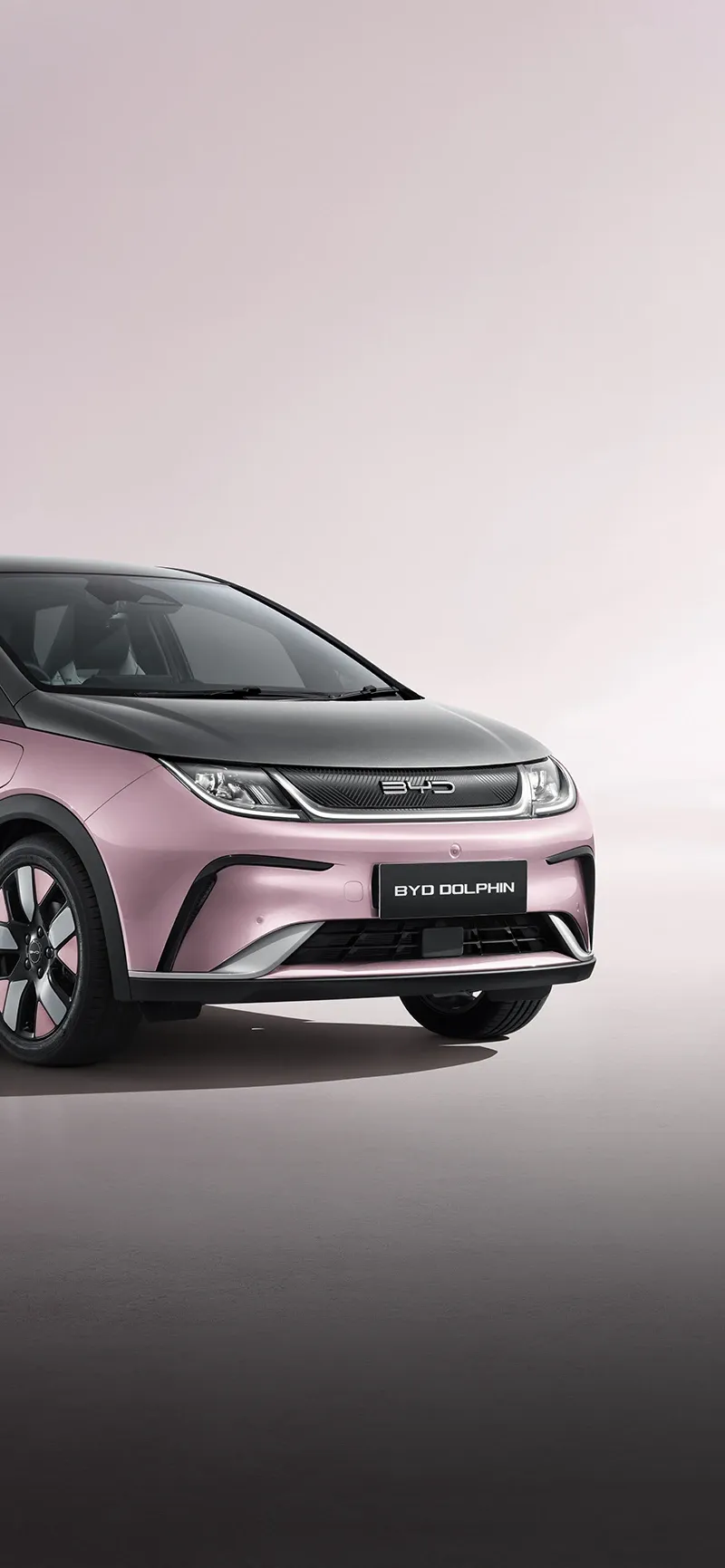 BYD Dolphin Pure Electric Hatchback