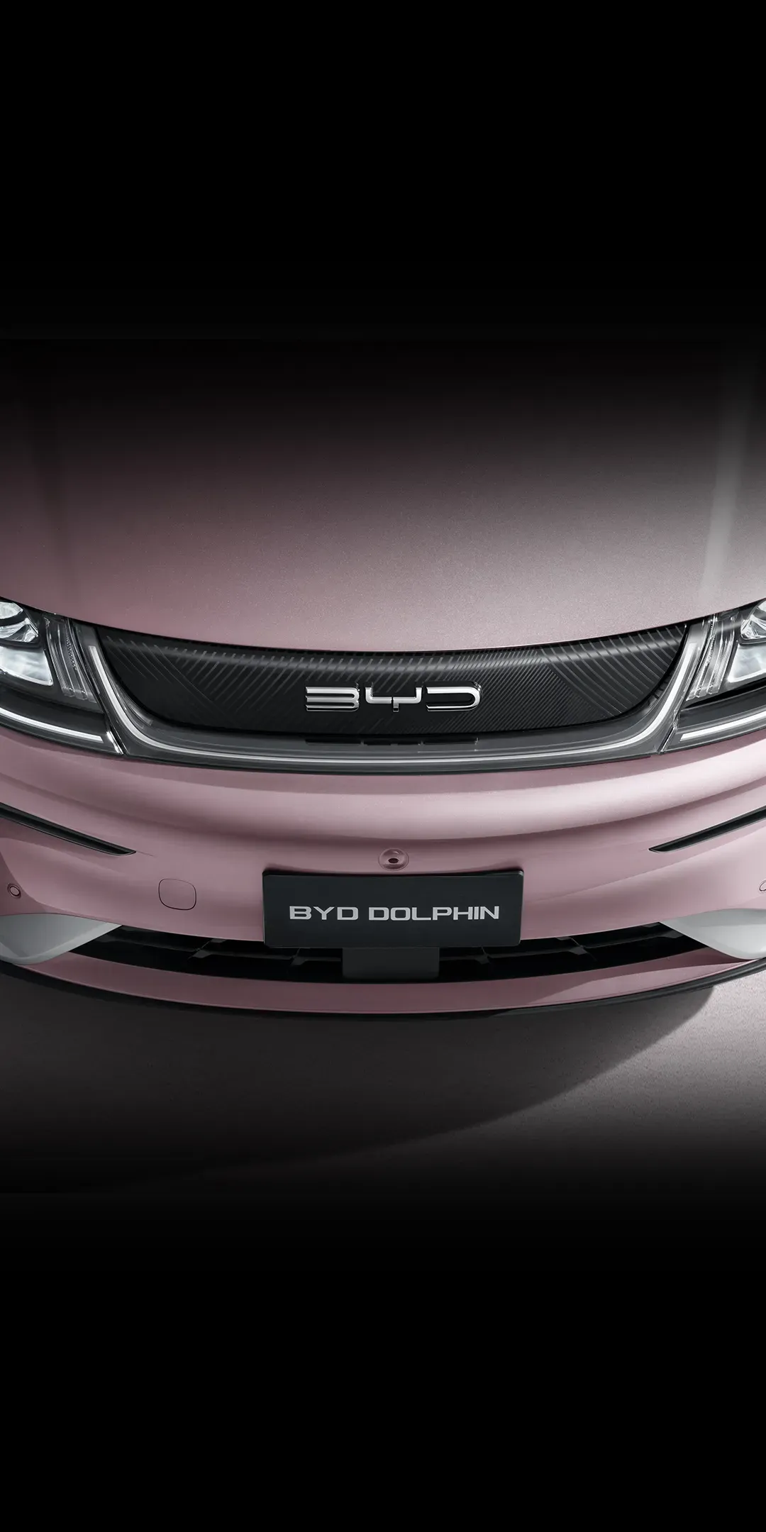 BYD Dolphin Continuous LED Headlight System